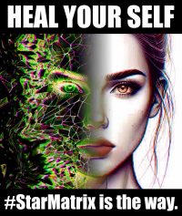Trauma & Star Matrix